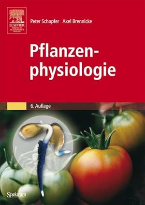 Seller image for Pflanzenphysiologie for sale by Studibuch