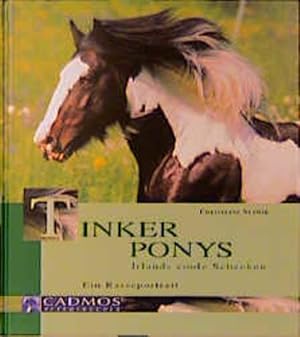 Seller image for Tinker Ponys: Irlands coole Schecken for sale by Studibuch