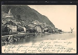 Carte postale Meillerie, vue générale vom See aus