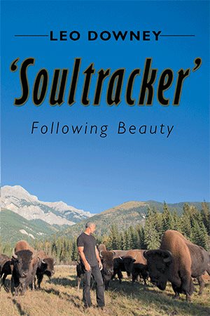 Bild des Verkufers fr Soultracker : Following Beauty zum Verkauf von GreatBookPricesUK