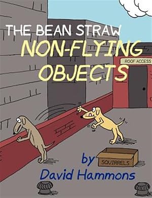 Immagine del venditore per Bean Straw : Non-flying Objects venduto da GreatBookPricesUK