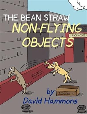Immagine del venditore per Bean Straw : Non-flying Objects venduto da GreatBookPricesUK