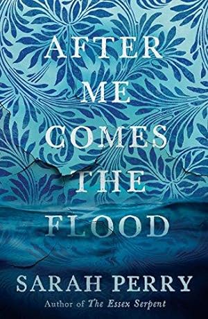 Seller image for After Me Comes the Flood: From the author of The Essex Serpent for sale by WeBuyBooks