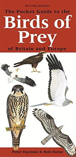 Bild des Verkufers fr The Pocket Guide to Birds of Prey of Britain and Europe zum Verkauf von WeBuyBooks