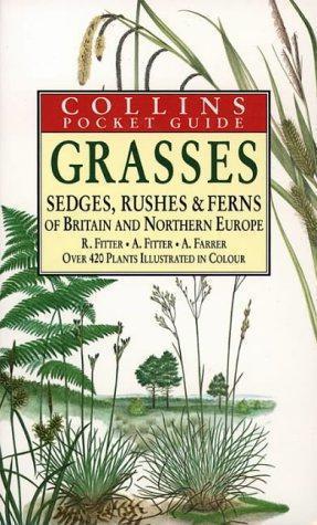 Seller image for Grasses, Sedges, Rushes and Ferns of Britain and Northern Europe - Collins Pocket Guide. for sale by WeBuyBooks 2
