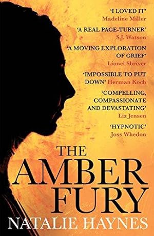 Bild des Verkufers fr The Amber Fury: 'I loved it' Madeline Miller zum Verkauf von WeBuyBooks