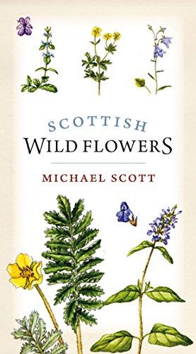 Seller image for Scottish Wild Flowers for sale by WeBuyBooks