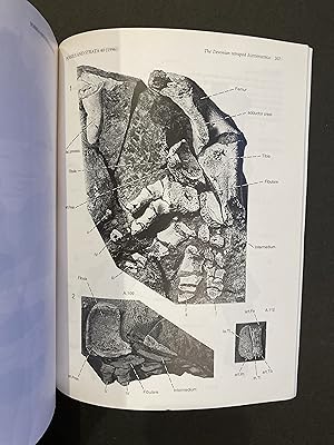 Seller image for THE DEVONIAN TETRAPOD Ichthyostega for sale by Paul Gritis Books