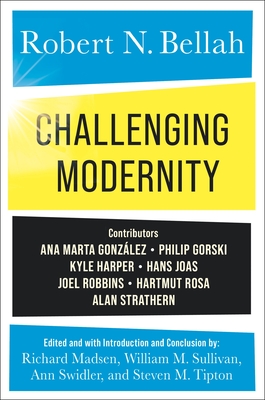 Seller image for Challenging Modernity (Paperback or Softback) for sale by BargainBookStores