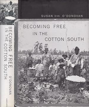 Becoming Free in the Cotton South