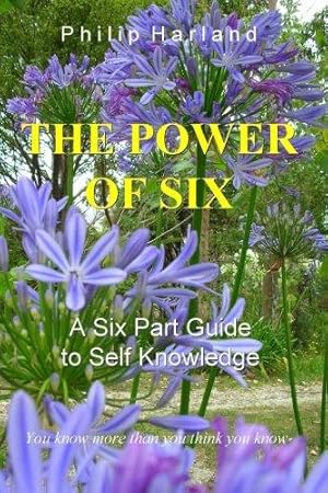 Imagen del vendedor de The Power of Six: A Six Part Guide to Self Knowledge a la venta por WeBuyBooks