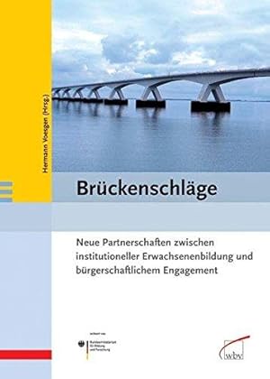 Bild des Verkufers fr Brckenschlge: Neue Partnerschaften zwischen institutioneller Erwachsenenbildun zum Verkauf von Die Buchgeister