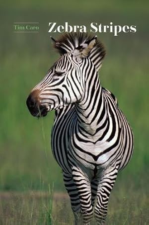Imagen del vendedor de Zebra Stripes (Emersion: Emergent Village resources for communities of faith) a la venta por WeBuyBooks