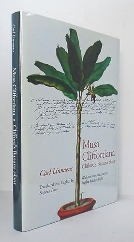 Seller image for Musa Cliffortiana. Clifford's Banana Plant. for sale by C. Arden (Bookseller) ABA