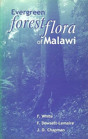 Evergreen forest flora of Malawi.
