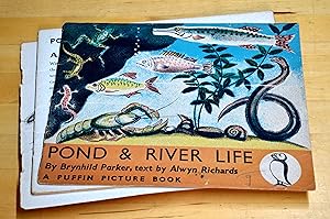 Bild des Verkufers fr Pond and River Life zum Verkauf von HALCYON BOOKS