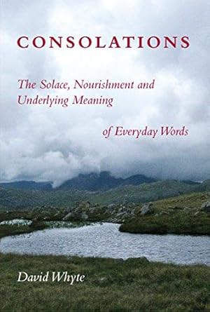 Bild des Verkufers fr Consolations: The Solace, Nourishment, and the Underlying Meaning of Everyday Words zum Verkauf von WeBuyBooks