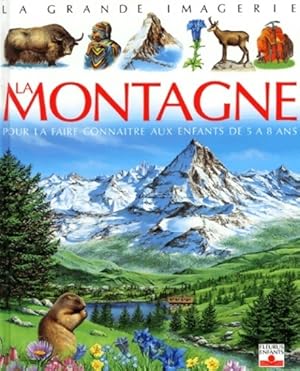 Image du vendeur pour La montagne - Agn?s Vandewiele mis en vente par Book Hmisphres