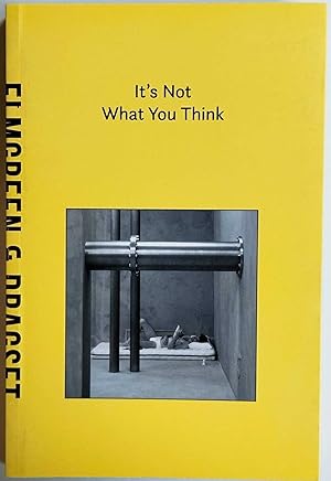 Immagine del venditore per It's Not What You Think venduto da Studio Bibliografico Marini