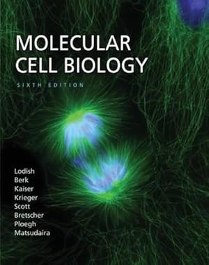 Seller image for Molecular Cell Biology: 6th Edition for sale by WeBuyBooks