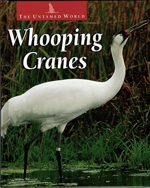 Whooping Cranes (The Untamed World)