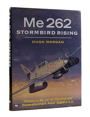 ME 262 Stormbird Rising