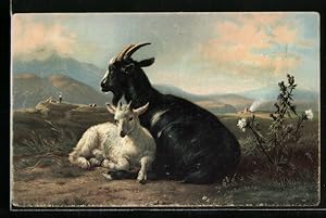 Künstler-Ansichtskarte Stengel, Co. Nr. 29274: Goat and Kid, Ziegenbock und Zicklein