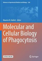 Imagen del vendedor de Molecular and Cellular Biology of Phagocytosis a la venta por Collectors' Bookstore