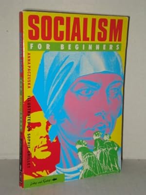 Bild des Verkufers fr Socialism for Beginners (Writers & readers) zum Verkauf von WeBuyBooks 2