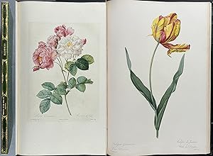 Redoute's Album de Redoute - Rare Volume with 61 Botanical Engravings