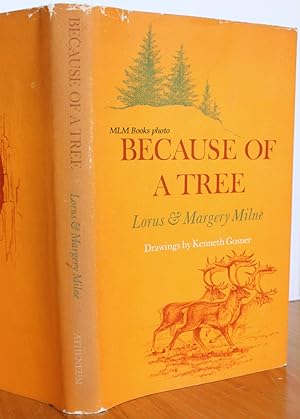 Seller image for Because of a Tree for sale by Ulysses Books, Michael L. Muilenberg, Bookseller
