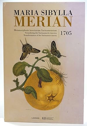 Maria Sibylla Merian: Metamorphosis Insectorum Surinamensium