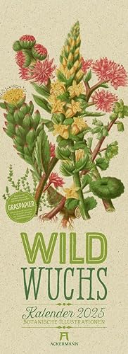 Bild des Verkufers fr Wildwuchs - Botanische Illustrationen - Graspapier-Kalender 2025 zum Verkauf von AHA-BUCH GmbH