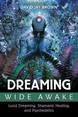Seller image for Dreaming Wide Awake: Lucid Dreaming, Shamanic Healing, and Psychedelics (Paperback or Softback) for sale by BargainBookStores