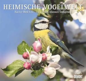 Immagine del venditore per Heimische Vogelwelt 2025 - DUMONT Wandkalender - mit den wichtigsten Feiertagen - Format 38,0 x 35,5 cm venduto da AHA-BUCH GmbH