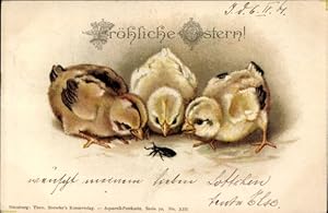 Litho Glückwunsch Ostern, Küken, Käfer