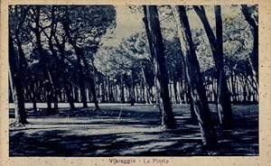 Ansichtskarte / Postkarte Viareggio Toscana, La Pineta