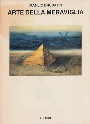 Seller image for Arte della meraviglia for sale by Arca dei libri di Lorenzo Casi