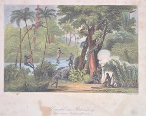 Imagen del vendedor de Urwald in Brasilien. (Lager einer Indianerfamilie). a la venta por Antique Sommer& Sapunaru KG