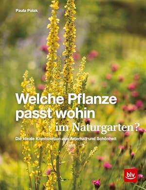 Bild des Verkufers fr Welche Pflanze passt wohin im Naturgarten?: Die ideale Kombination aus Arterhalt und Schnheit (BLV Pflanzenpraxis) zum Verkauf von Modernes Antiquariat - bodo e.V.