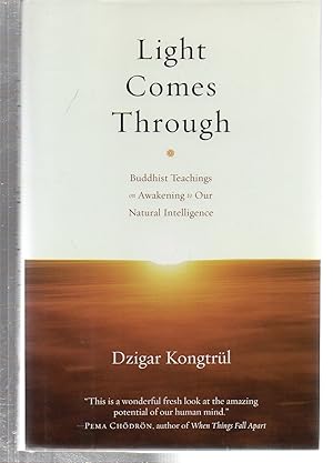 Light Comes Through: Buddhist Teachings on Awakening to Our Natural Intelligence