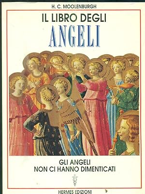 Bild des Verkufers fr Il libro degli angeli zum Verkauf von Librodifaccia