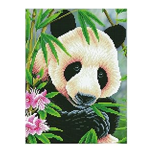 Diamond Painting Panda Prinz