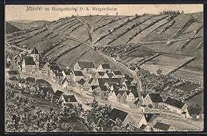 Künstler-Ansichtskarte sign. Hans Pernat: Münster im Herrgottsthal, Gesamtansicht aus der Vogelschau