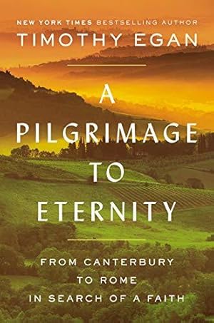 Bild des Verkufers fr A Pilgrimage to Eternity: From Canterbury to Rome in Search of a Faith zum Verkauf von WeBuyBooks