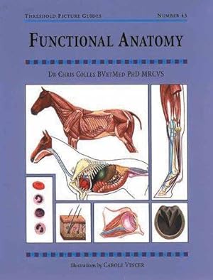 Imagen del vendedor de Functional Anatomy (Threshold Picture Guide 43) a la venta por WeBuyBooks