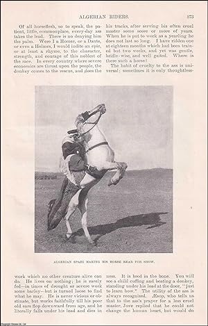 Seller image for Algerian Horse Riders. By Colonel T.A. Dodge. An original article from the Harper's Monthly Magazine, 1893. for sale by Cosmo Books