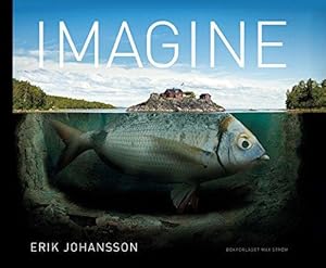 Bild des Verkufers fr Erik Johansson: Imagine zum Verkauf von WeBuyBooks