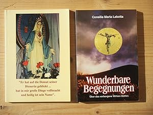 Wunderbare Begegnungen - Über das verborgene Wirken Gottes