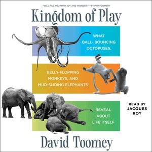 Immagine del venditore per Kingdom of Play : What Ball-Bouncing Octopuses, Belly-Flopping Monkeys, and Mud-Sliding Elephants Reveal About Life Itself venduto da GreatBookPrices